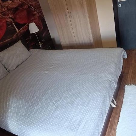 Apartment Vila Sandra Zlatibor Zewnętrze zdjęcie